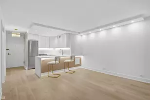 100 E Walton St, Chicago, IL 60611 - Photo 6