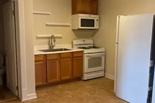 847 Hannah Ave, Forest Park, IL 60130 - Photo 8