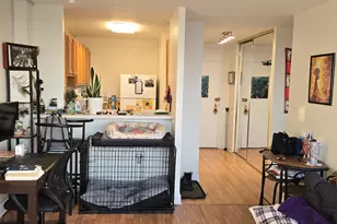 5455 N Sheridan Rd, Chicago, IL 60640 - Photo 10