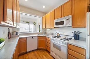 711 Washington Blvd, Oak Park, IL 60302 - Photo 20