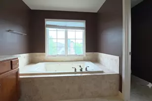 12919 Grande Pines Blvd, Plainfield, IL 60585 - Photo 28