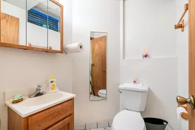11033 Parkside Avenue, Chicago Ridge, IL 60415 - Photo 26
