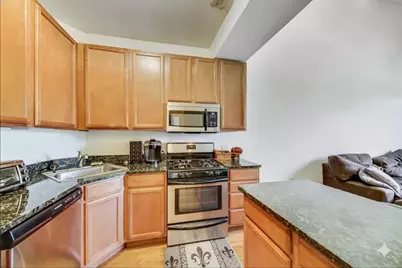 405 E Oakwood Boulevard #4L, Chicago, IL 60653 - Photo 6