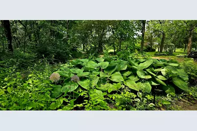 19583 W Goodwin Road, Wilmington, IL 60481 - Photo 90