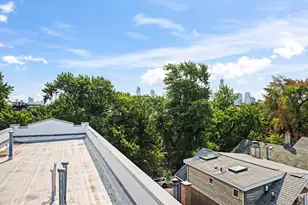 876 N Hermitage Ave, Chicago, IL 60622 - Photo 34