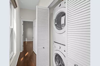 876 N Hermitage Avenue #3, Chicago, IL 60622 - Photo 28