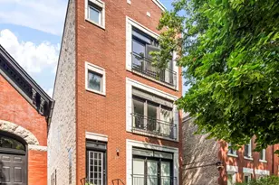 876 N Hermitage Ave, Chicago, IL 60622 - Photo 1