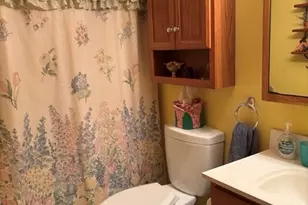 6130 E Deerfield Dr, Coal City, IL 60416 - Photo 10