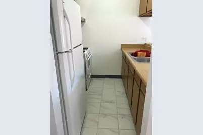 2305 S Stewart Avenue #F, Chicago, IL 60616 - Photo 10