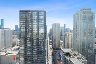 2 E Erie St, Chicago, IL 60611 - Photo 32