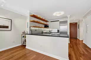 2 E Erie St, Chicago, IL 60611 - Photo 6
