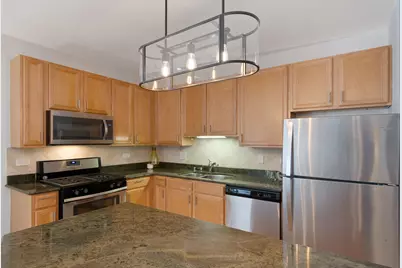 1808 S Michigan Avenue #12, Chicago, IL 60616 - Photo 8