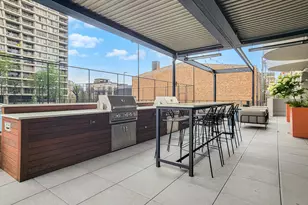 2020 N Lincoln Park, Chicago, IL 60614 - Photo 22