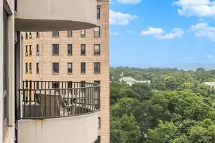 2020 N Lincoln Park, Chicago, IL 60614 - Photo 10