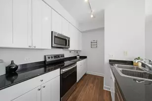 421 W Huron St, Chicago, IL 60654 - Photo 4