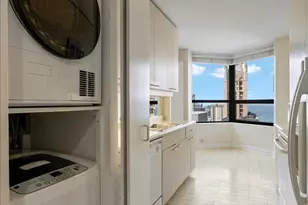 400 E Ohio St, Chicago, IL 60611 - Photo 20