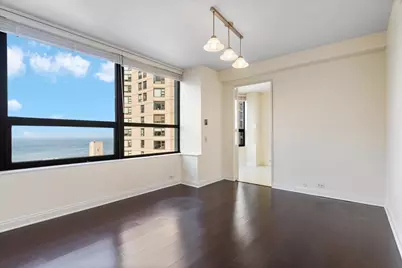 400 E Ohio Street #3202, Chicago, IL 60611 - Photo 12