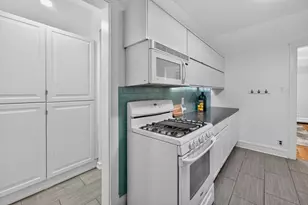 4832 N Tripp Ave, Chicago, IL 60630 - Photo 10