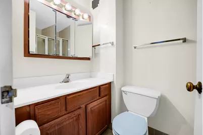 2605 S Indiana Avenue #402, Chicago, IL 60616 - Photo 18