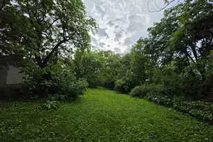 43 S Cedar St, Palatine, IL 60067 - Photo 42