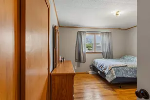 304 S McKinley St, Mansfield, IL 61854 - Photo 18