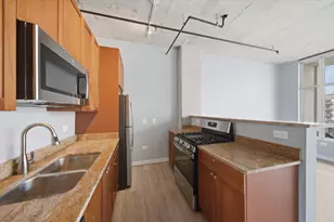 50 E 16th St, Chicago, IL 60616 - Photo 6