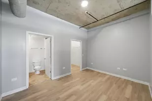 50 E 16th St, Chicago, IL 60616 - Photo 8