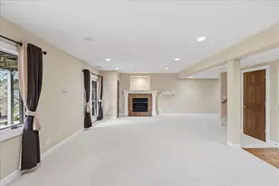 1591 S Paul Le Comte Ct, Palatine, IL 60067 - Photo 20
