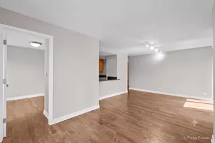 30 E Huron St, Chicago, IL 60611 - Photo 6