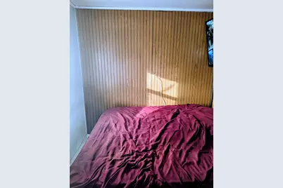 4805 S Elizabeth Street, Chicago, IL 60609 - Photo 10