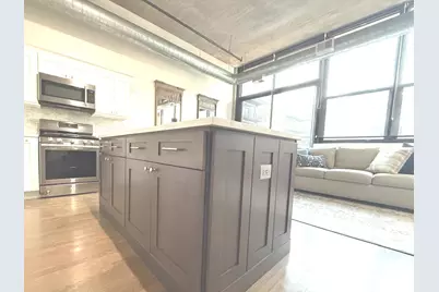 843 W Adams Street #403, Chicago, IL 60607 - Photo 14