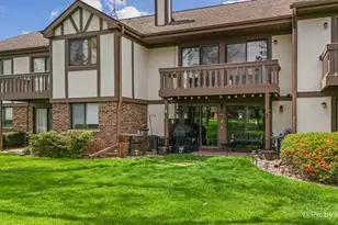 265 Buckingham Ct, Schaumburg, IL 60193 - Photo 20