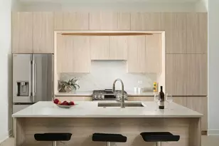 1500 N Wieland St, Chicago, IL 60610 - Photo 4