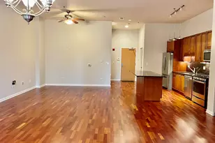 1250 S Indiana Ave, Chicago, IL 60605 - Photo 8