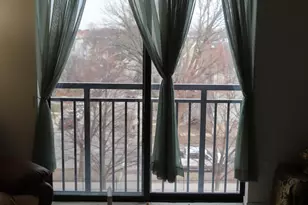 2335 W Belle Plaine Ave, Chicago, IL 60618 - Photo 20