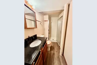 3015 N 77th Court, Elmwood Park, IL 60707 - Photo 22