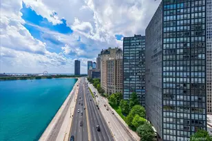 190 E Walton Pl, Chicago, IL 60611 - Photo 54