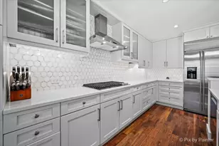 190 E Walton Pl, Chicago, IL 60611 - Photo 20