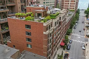 190 E Walton Pl, Chicago, IL 60611 - Photo 2