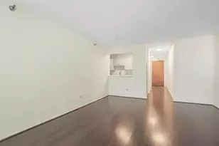 440 N McClurg Ct, Chicago, IL 60611 - Photo 4