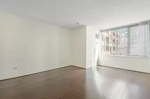 440 N McClurg Ct, Chicago, IL 60611 - Photo 2