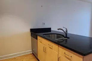 1260 W Washington Blvd, Chicago, IL 60607 - Photo 6