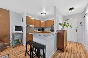 3550 N Lake Shore Dr, Chicago, IL 60657 - Photo 8
