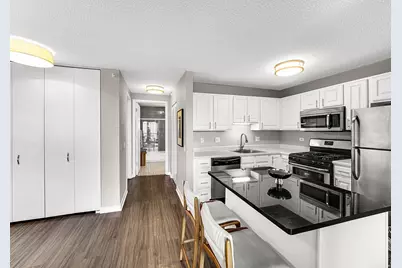 545 N Dearborn Street #3006, Chicago, IL 60654 - Photo 4