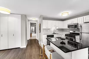 545 N Dearborn St, Chicago, IL 60654 - Photo 4