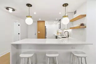 200 E Delaware Pl, Chicago, IL 60611 - Photo 20