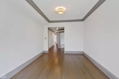 4745 S St. Lawrence Avenue, Chicago, IL 60615 - Photo 48