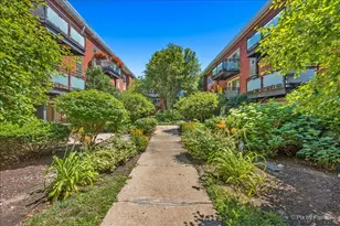 6421 N Damen Ave, Chicago, IL 60645 - Photo 20