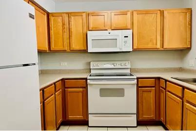 345 N Lasalle Drive #1505, Chicago, IL 60654 - Photo 8