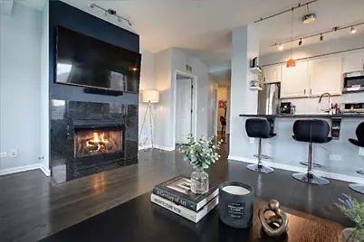 343 W Old Town Court #508, Chicago, IL 60610 - Photo 6